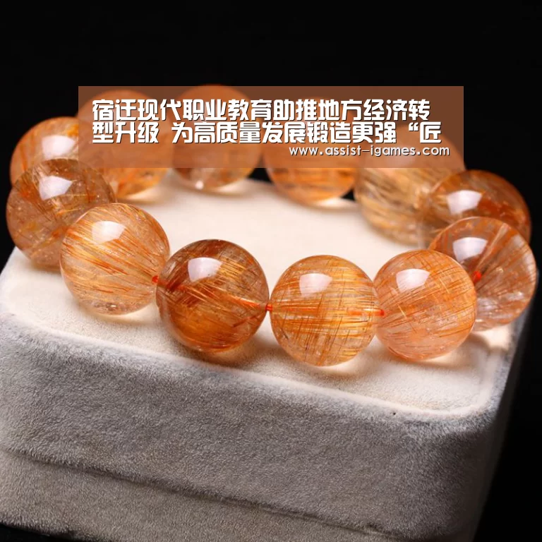 宿迁现代职业教育助推地方经济转型升级 为高质量发展锻造更强“匠心”-爱游戏官网(图3) 爱游戏体育app