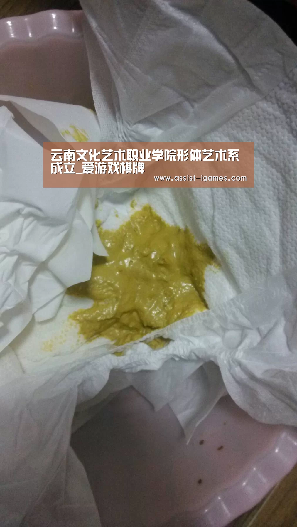 云南文化艺术职业学院形体艺术系成立_爱游戏棋牌(图1) ayx下载