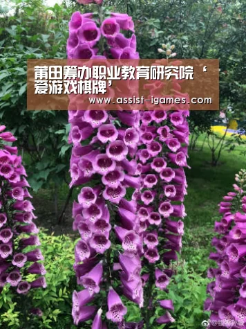 莆田筹办职业教育研究院‘爱游戏棋牌’(图1) 爱游戏体育app